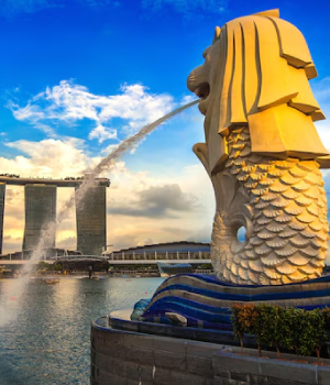 Business Visa – Singapore
