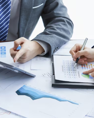 Finance Adviser